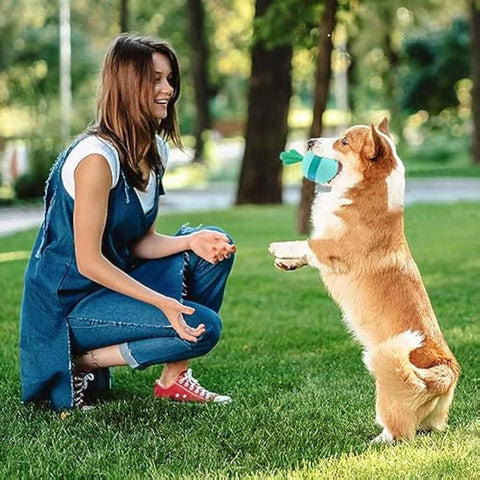 Interactive Treat Dispensing Dog Toy - Durable Rubber Puzzle Ball for Medium & Large Dogs