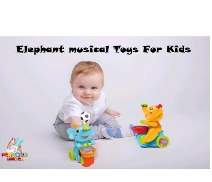 Interactive Elephant Musician Toy with Lights & Sounds for Kids